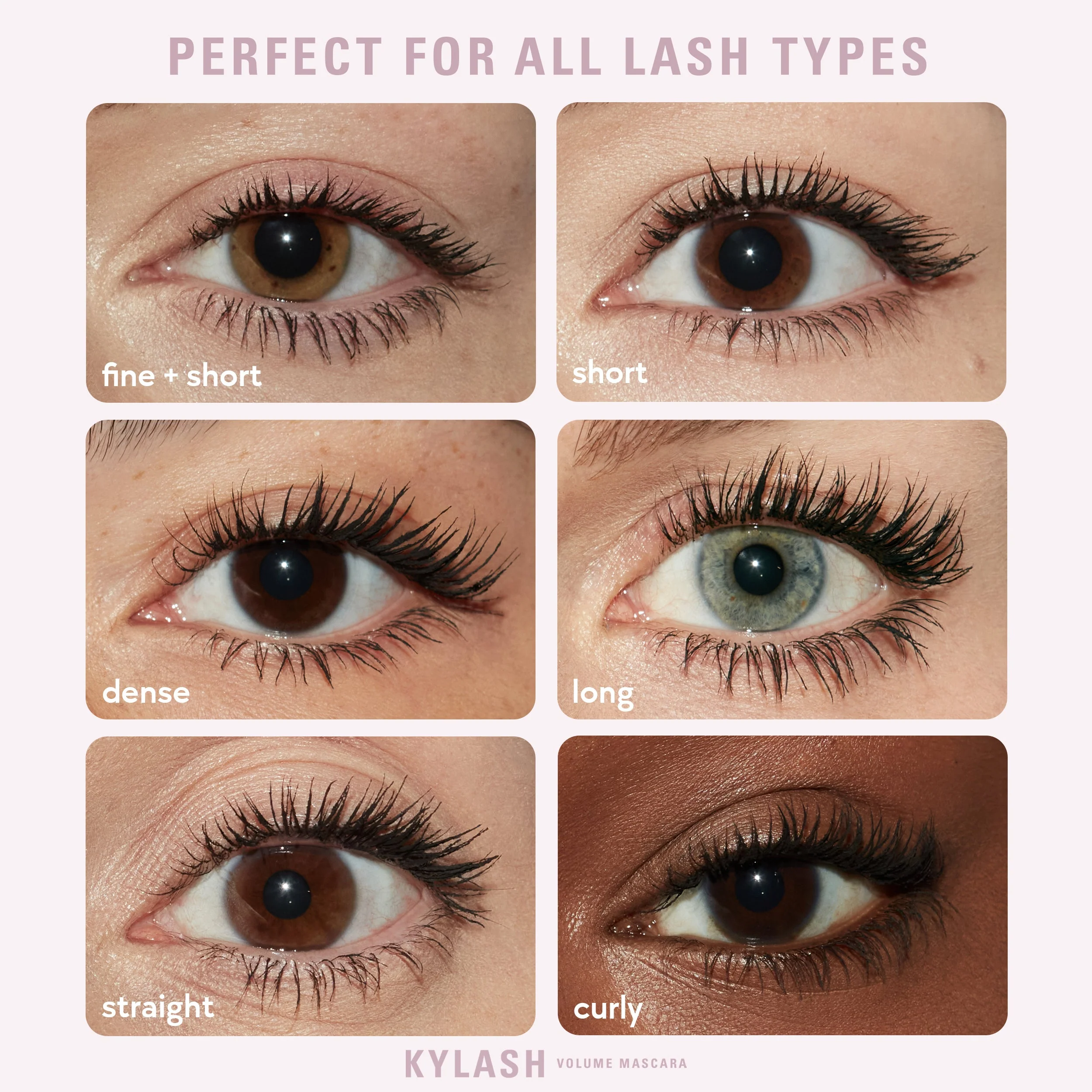 Kylash Volume Mascara & Classic Matte Palette Duo - Image 2
